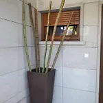 Casa de Férias Con Vista A Islas Cíes *