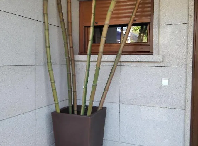 Feriehus Con Vista A Islas Cies *